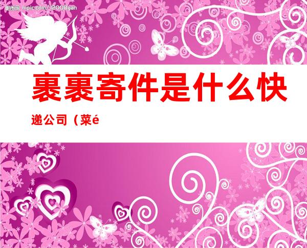 裹裹寄件是什么快递公司?(菜鸟裹裹是哪个快递公司)