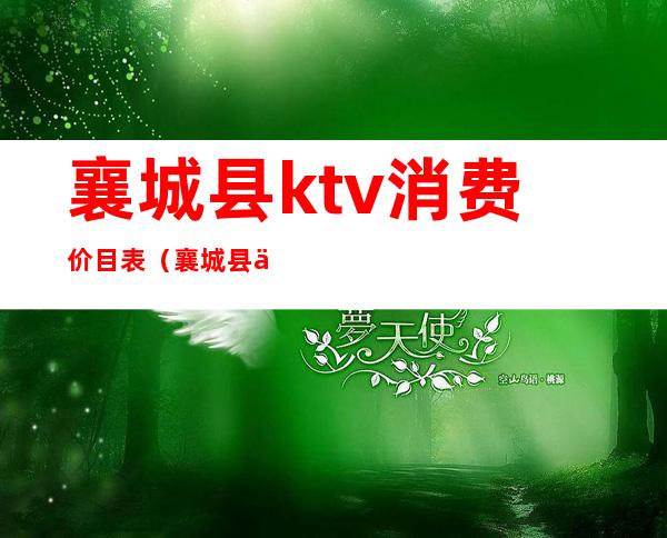 襄城县ktv消费价目表(襄城县乐谷ktv)