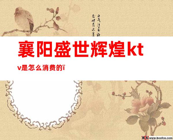 襄阳盛世辉煌ktv是怎么消费的(襄阳盛世国际KTV)