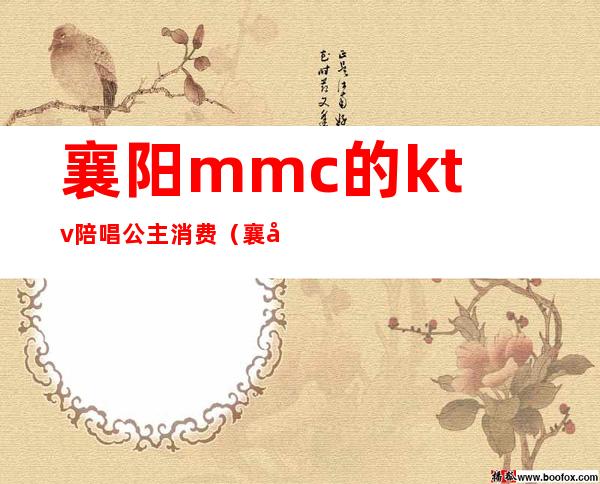 襄阳mmc的ktv陪唱公主消费(襄城县ktv公主)