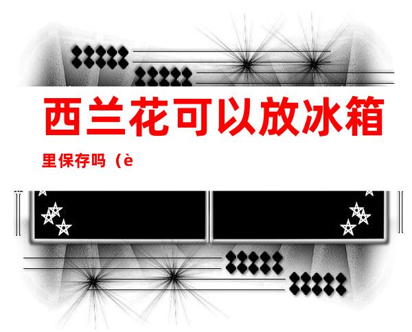 西兰花可以放冰箱里保存吗(西兰花可以放冰箱吗放冰箱里保存吗)