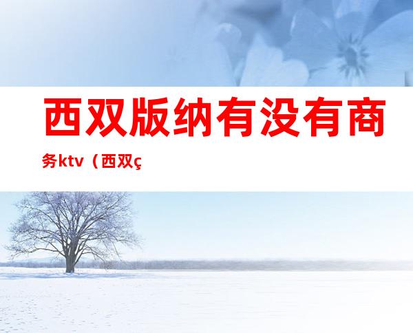 西双版纳有没有商务ktv(西双版纳外贸)