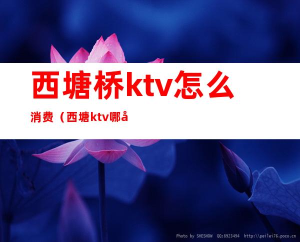西塘桥ktv怎么消费（西塘ktv哪家好玩）