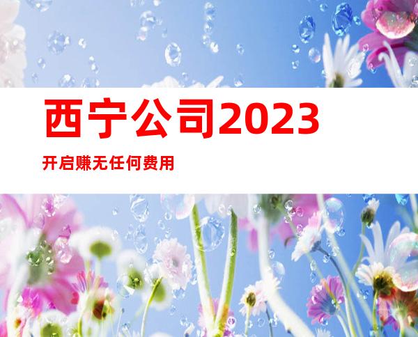 西宁公司2023开启赚无任何费用