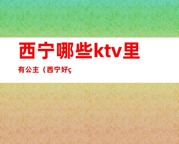 西宁哪些ktv里有公主(西宁好玩的KTV)