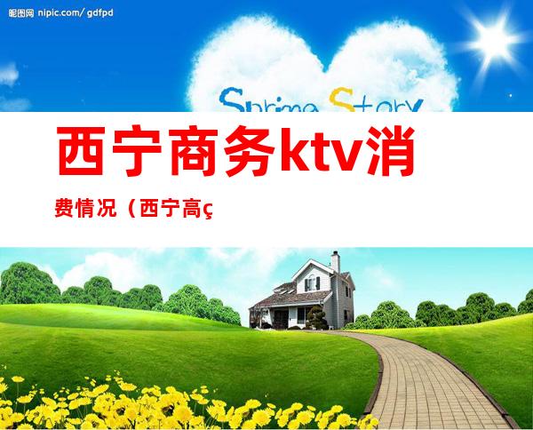西宁商务ktv消费情况(西宁高端KTV)