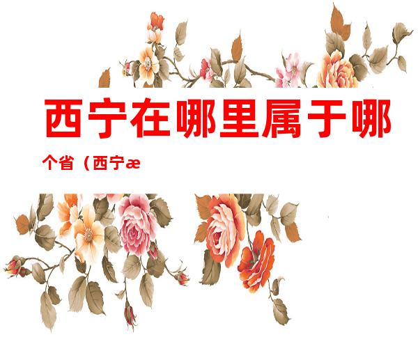 西宁在哪里属于哪个省(西宁是属于哪个省)