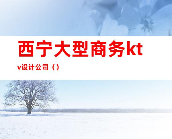 西宁大型商务ktv设计公司()