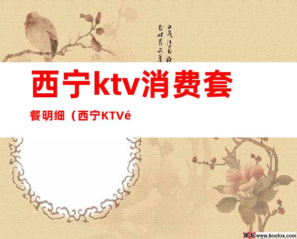 西宁ktv消费套餐明细(西宁KTV预订)