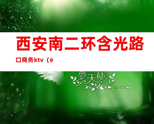 西安南二环含光路口商务ktv(西安市二环北路)