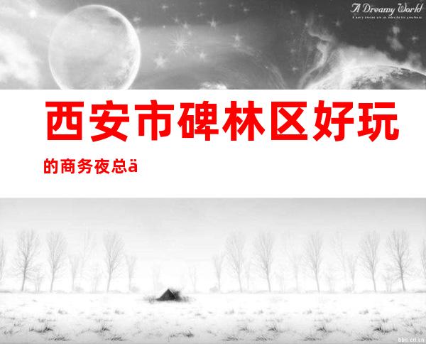 西安市碑林区好玩的商务夜总会你知道几家呢?来看看下面这几家