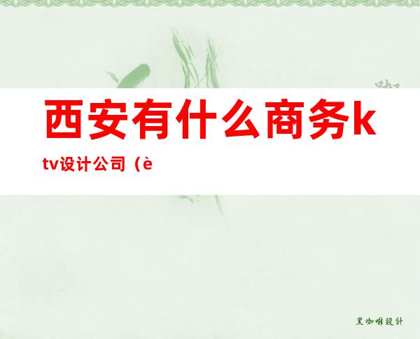 西安有什么商务ktv设计公司（西安的商务ktv）