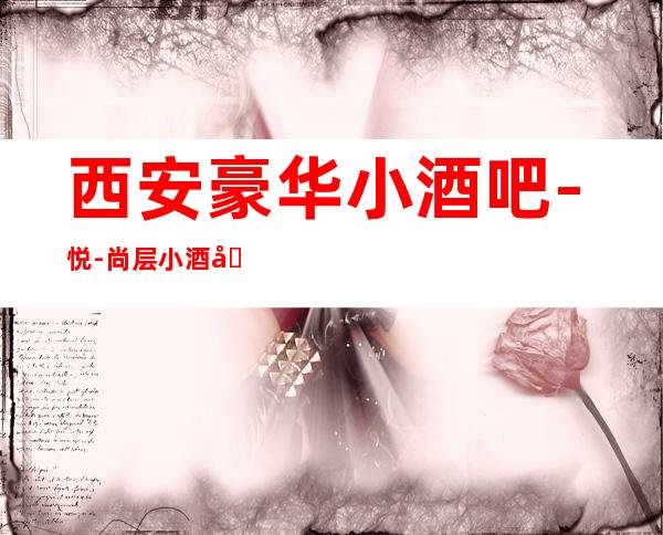 西安豪华小酒吧-悦-尚层小酒吧预定介绍