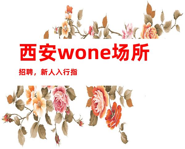 西安wone场所招聘,新人入行指引塔