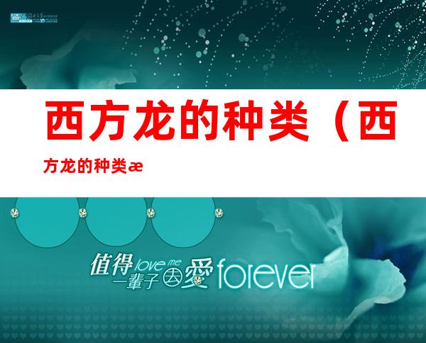 西方龙的种类(西方龙的种类有哪些)
