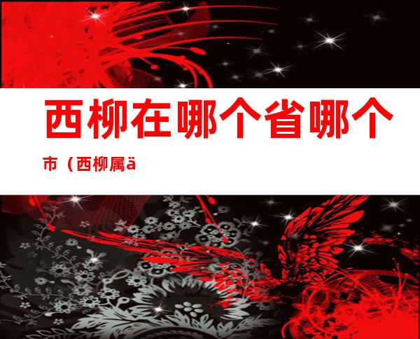 西柳在哪个省哪个市(西柳属于哪个省)