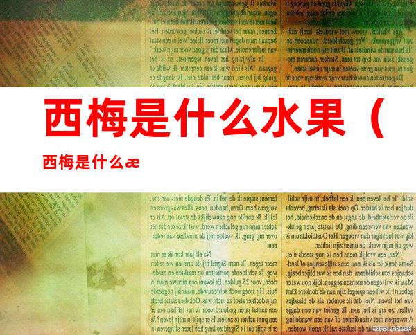 西梅是什么水果（西梅是什么水果图片）