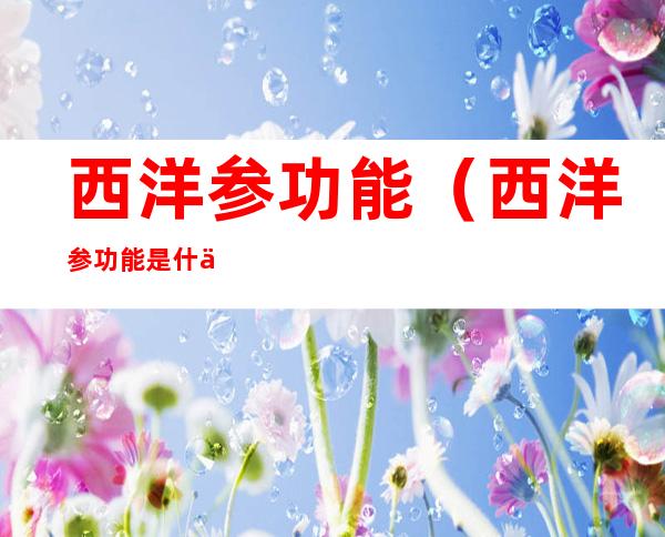 西洋参功能(西洋参功能是什么)