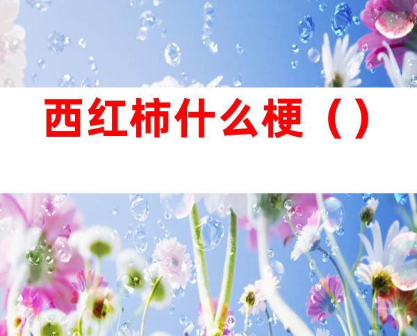 西红柿什么梗（）