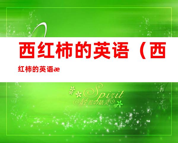 西红柿的英语（西红柿的英语拼写）