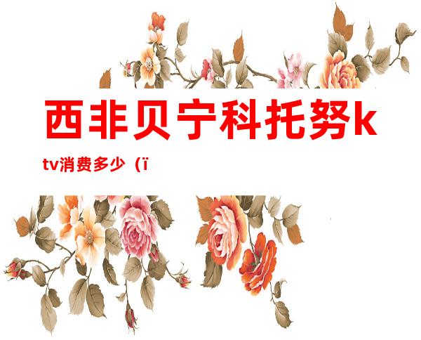 西非贝宁科托努ktv消费多少（）