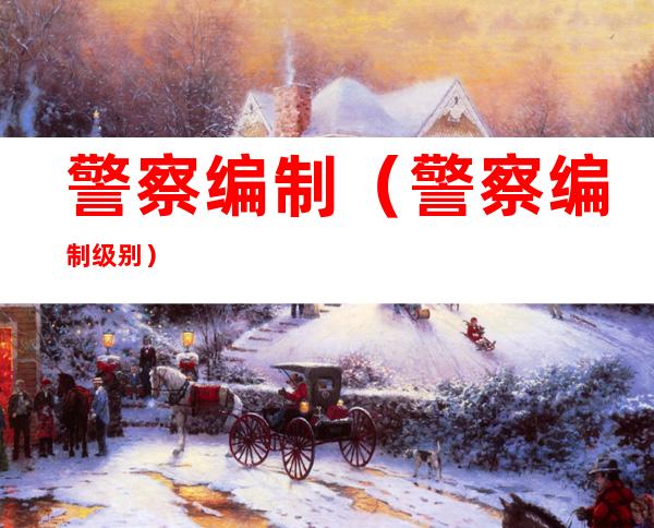 警察编制(警察编制级别)