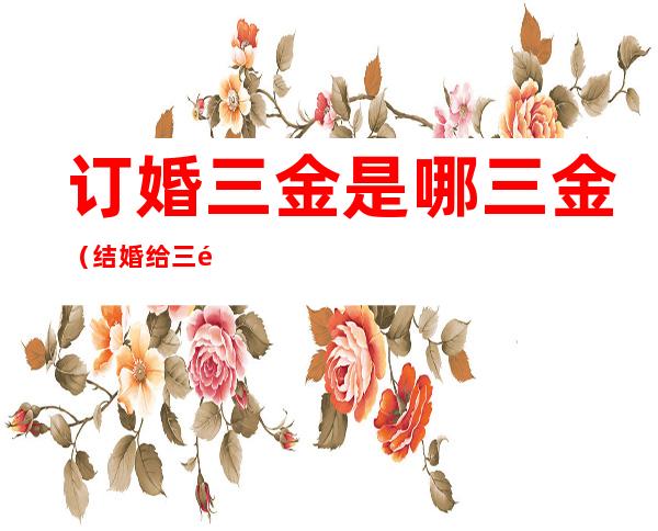 订婚三金是哪三金(结婚给三金还是订婚给三金)
