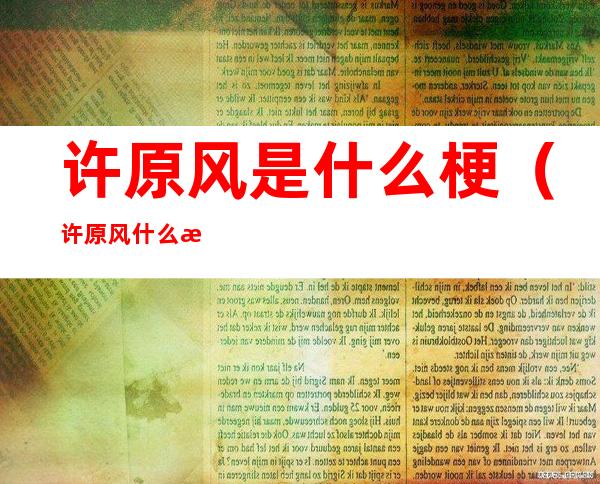 许原风是什么梗(许原风什么意思)
