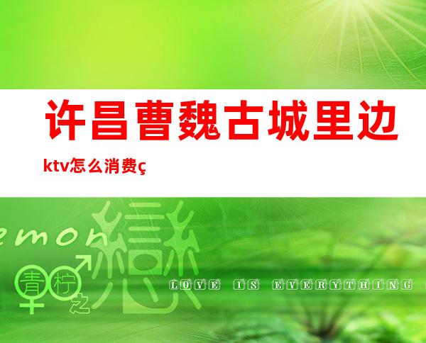 许昌曹魏古城里边ktv怎么消费的(许昌曹魏古城酒吧一条街怎么样)