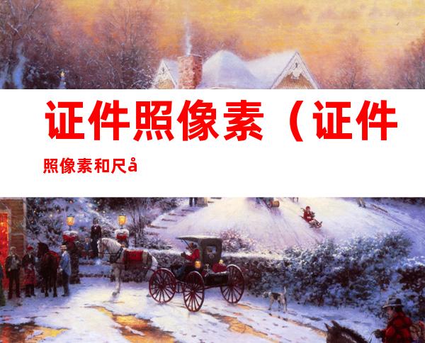 证件照像素(证件照像素和尺寸是一个概念吗)