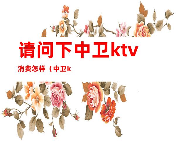请问下中卫ktv消费怎样(中卫ktv一个人价格)