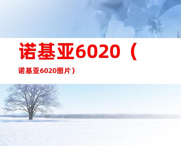 诺基亚6020(诺基亚6020图片)