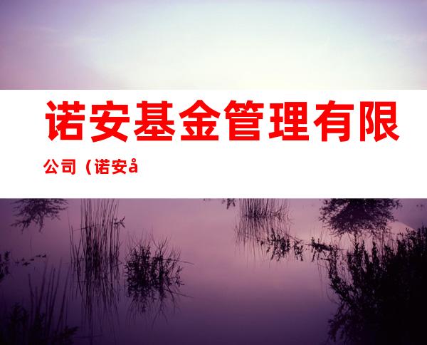 诺安基金管理有限公司（诺安基金管理有限公司给我转钱了）