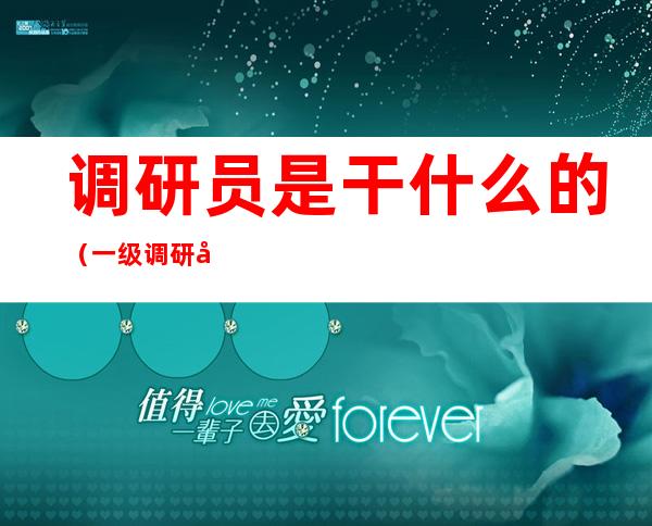 调研员是干什么的（一级调研员是干什么的）