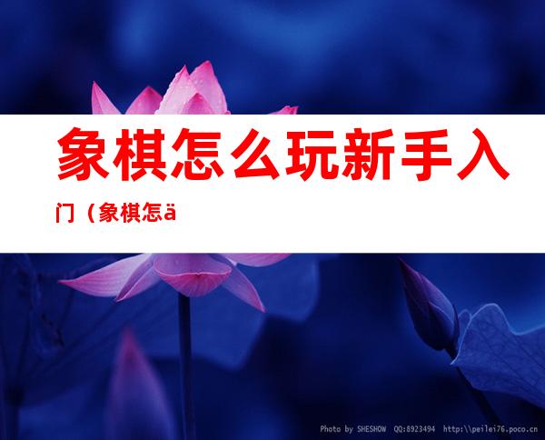 象棋怎么玩新手入门(象棋怎么玩新手入门视频教程)