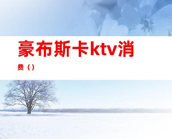 豪布斯卡ktv消费（）