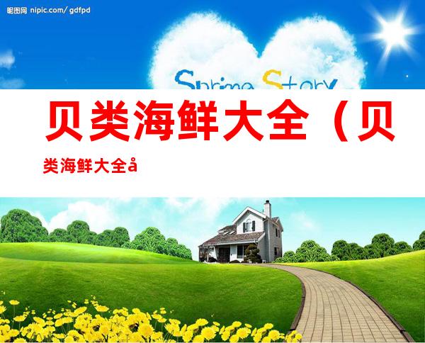 贝类海鲜大全(贝类海鲜大全图片)