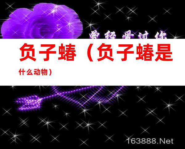 负子蝽(负子蝽是什么动物)
