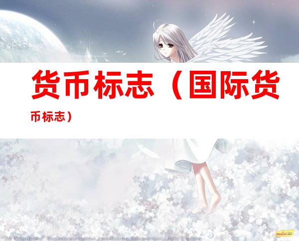 货币标志（国际货币标志）