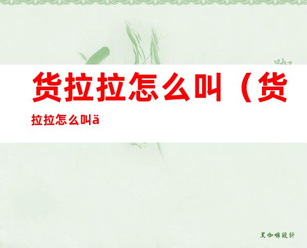 货拉拉怎么叫(货拉拉怎么叫两个地址)