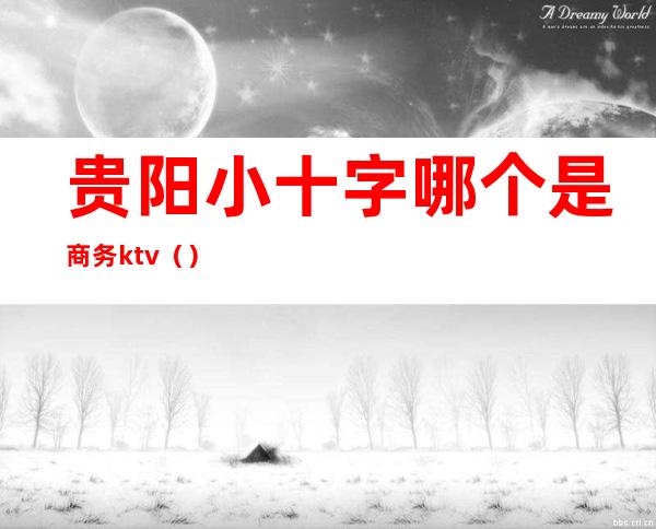 贵阳小十字哪个是商务ktv（）