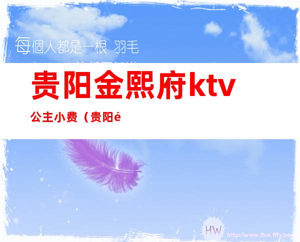 贵阳金熙府ktv公主小费(贵阳金熙府ktv消费)