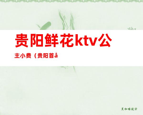 贵阳鲜花ktv公主小费(贵阳首座ktv公主费)
