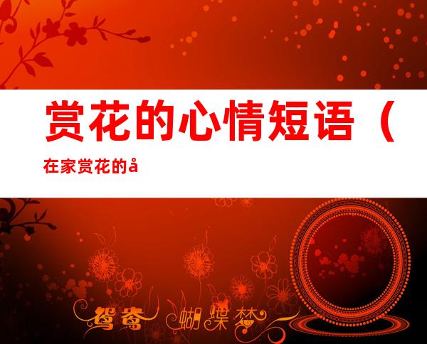 赏花的心情短语(在家赏花的心情短语)