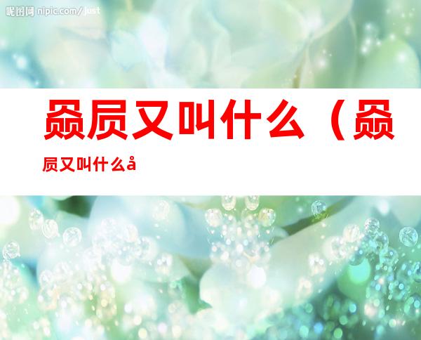 赑屃又叫什么（赑屃又叫什么名字）