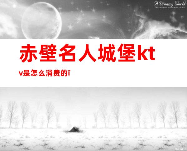 赤壁名人城堡ktv是怎么消费的()