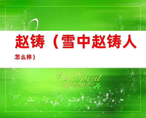 赵铸(雪中赵铸人怎么样)