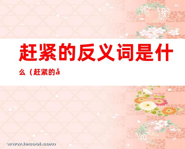 赶紧的反义词是什么(赶紧的反义词是什么?)
