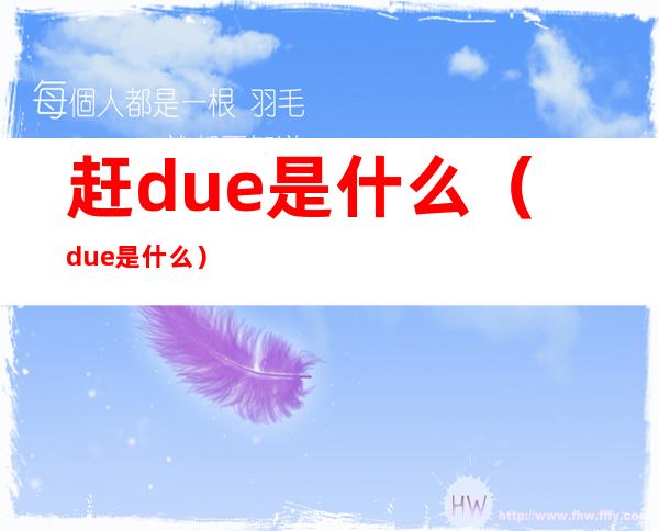 赶due是什么（due 是什么）