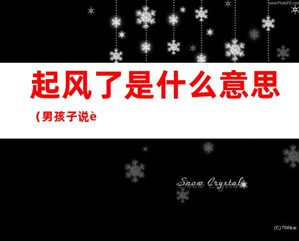 起风了是什么意思（男孩子说起风了是什么意思）